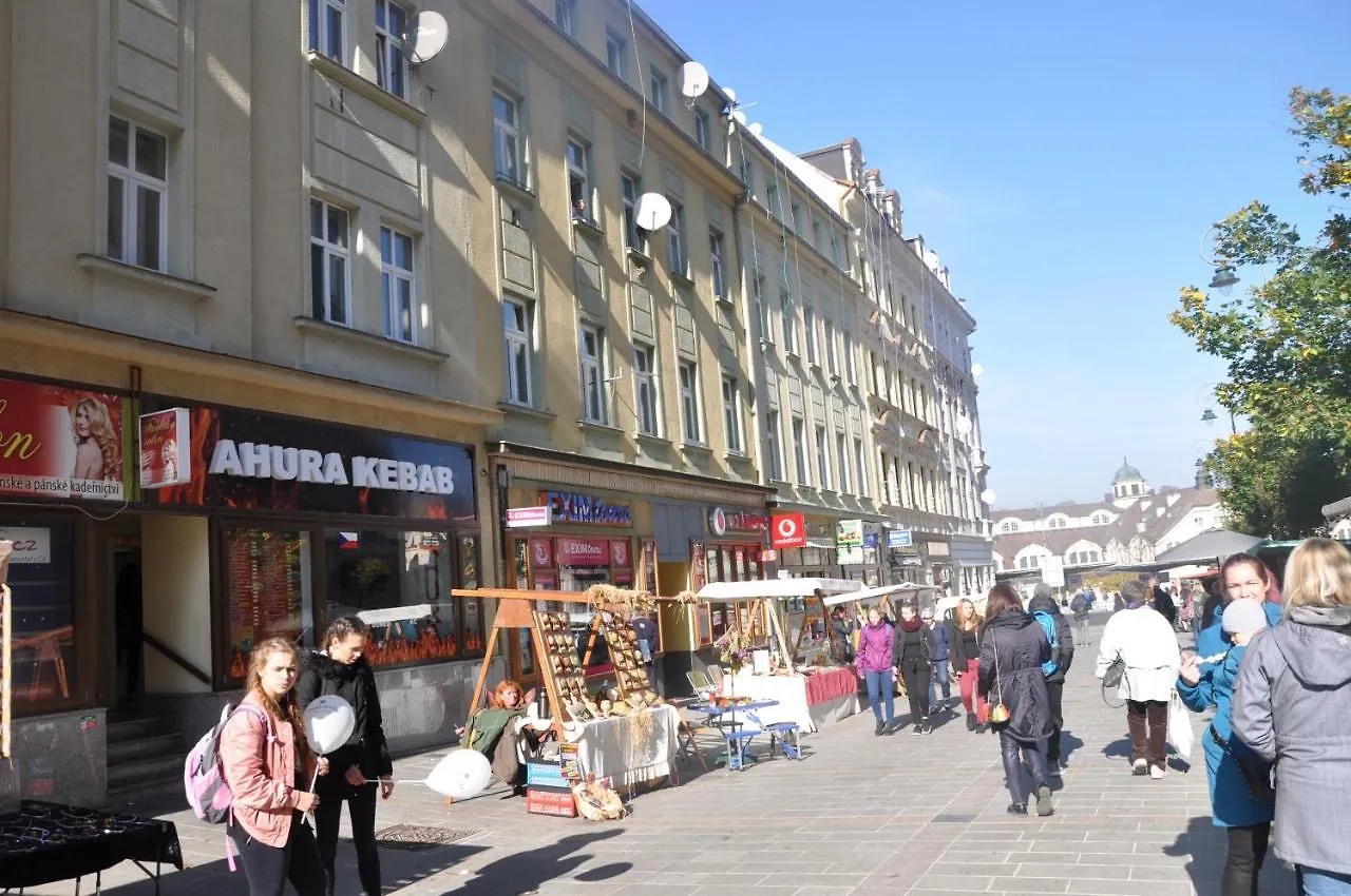 Apartment No. 10 Zeyerova 13 Karlovy Vary